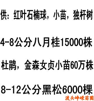 201112ºϻľ(bo)r(ji)