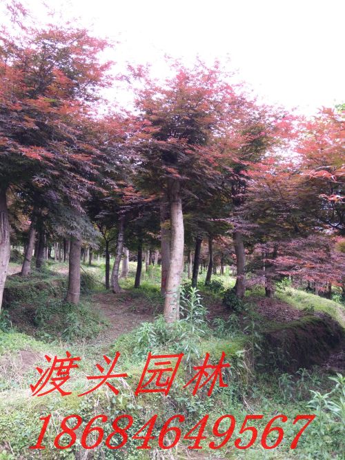 img_20160522_090959.jpg